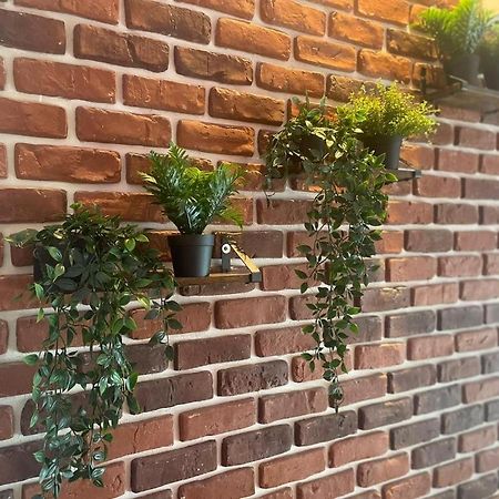 Luxurioese Loft Mit Garten Naehe Duesseldorf Messe كريفيلد المظهر الخارجي الصورة
