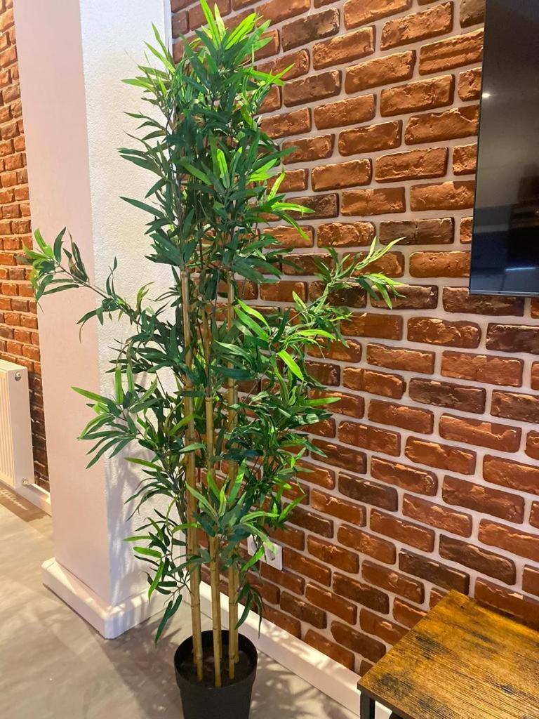 Luxurioese Loft Mit Garten Naehe Duesseldorf Messe كريفيلد المظهر الخارجي الصورة